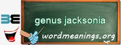 WordMeaning blackboard for genus jacksonia